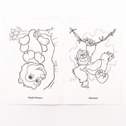 Crayola Lion Colouring Book