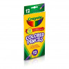 Crayola Coloured Pencils 12 Pack