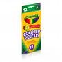 Crayola Coloured Pencils 12 Pack