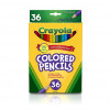 Crayola Coloured Pencils 36 Pack